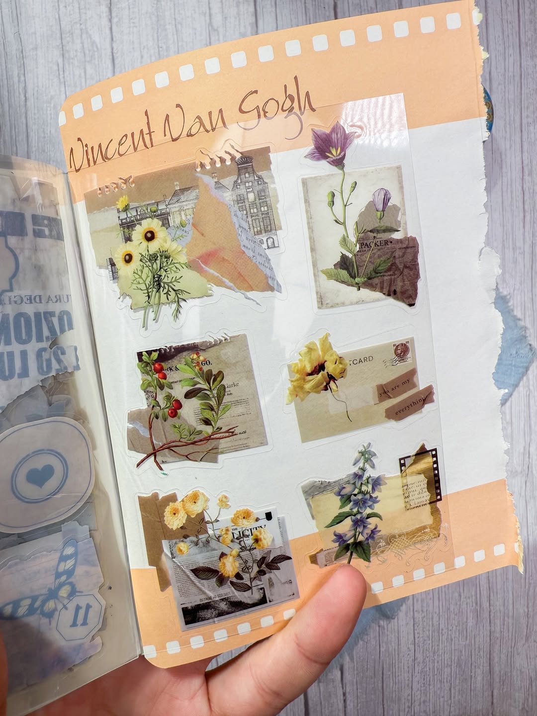 ✨🌼 مجلة الملصقات 🌼✨  نسخة الورود 🌻✨