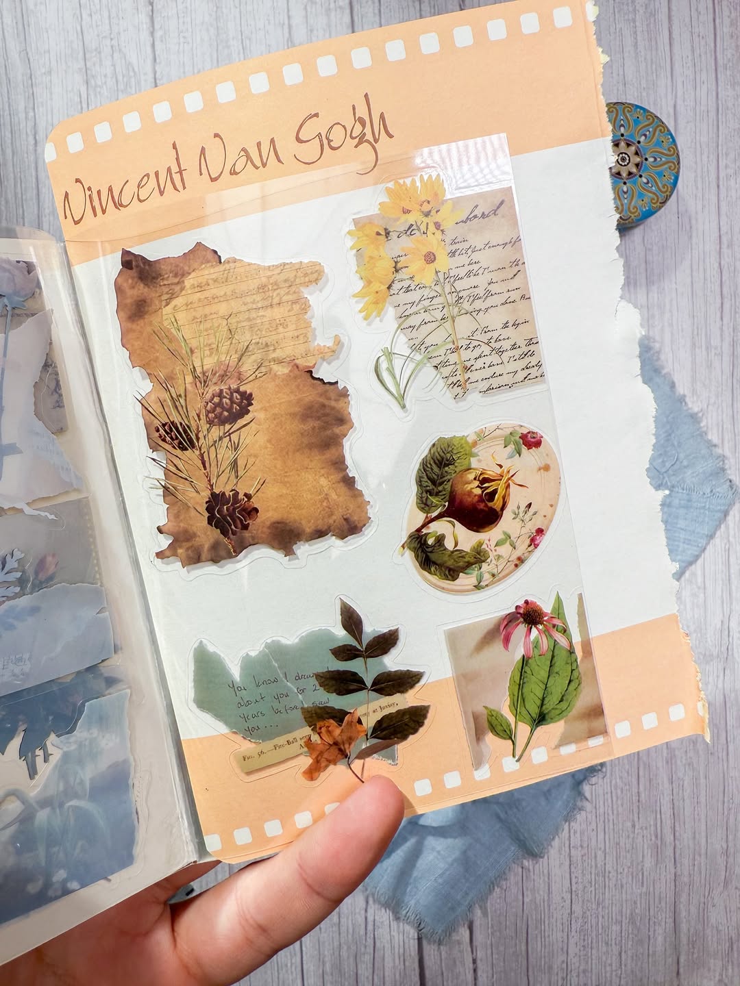 ✨🌼 مجلة الملصقات 🌼✨  نسخة الورود 🌻✨