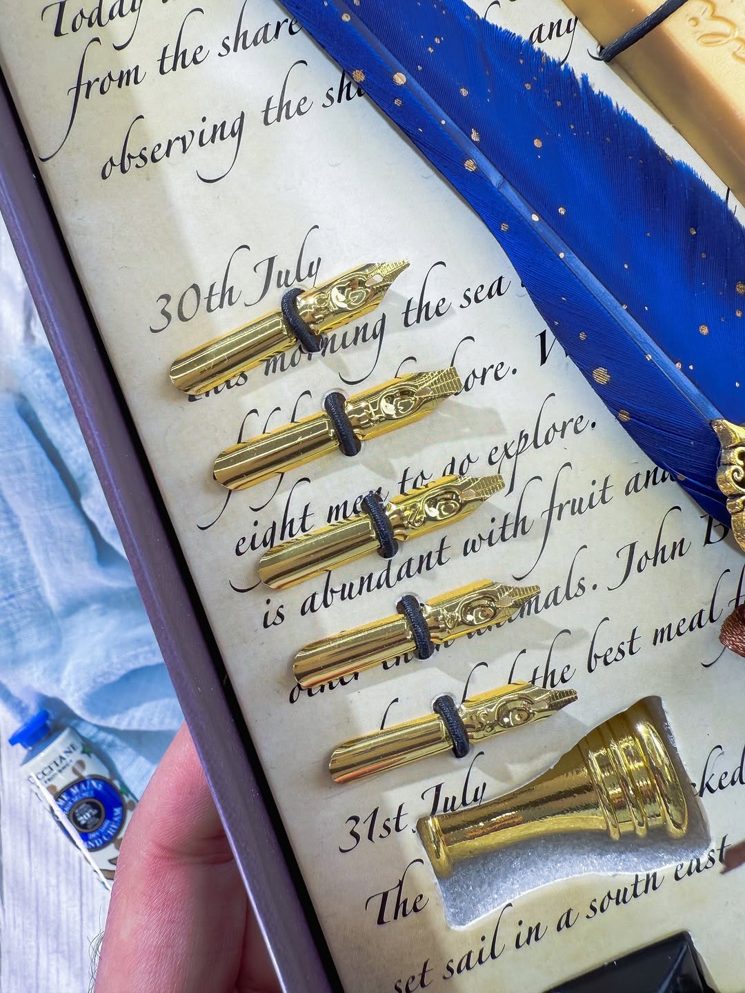 ✨🪶 قلم الريشة 🪶✨