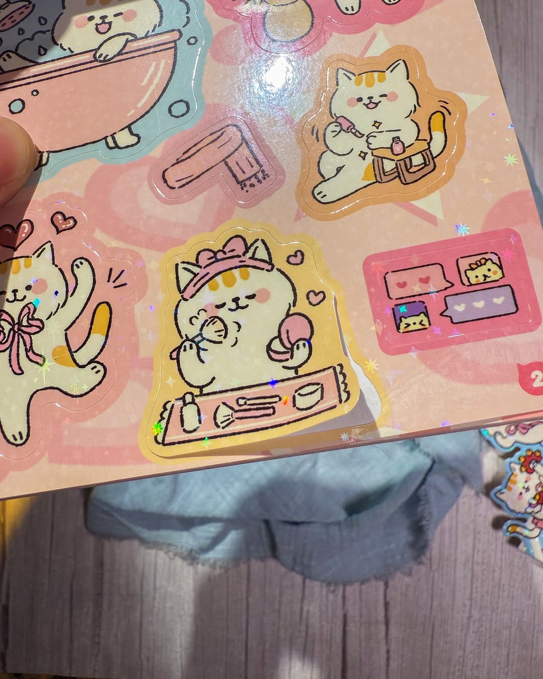 ✨🐈 دفتر ملصقات Lucky cat 🐈✨