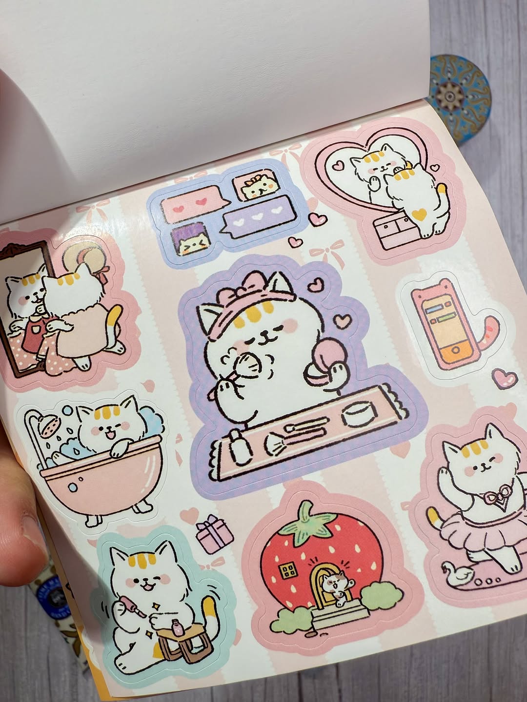 ✨🐈 دفتر ملصقات Lucky cat 🐈✨